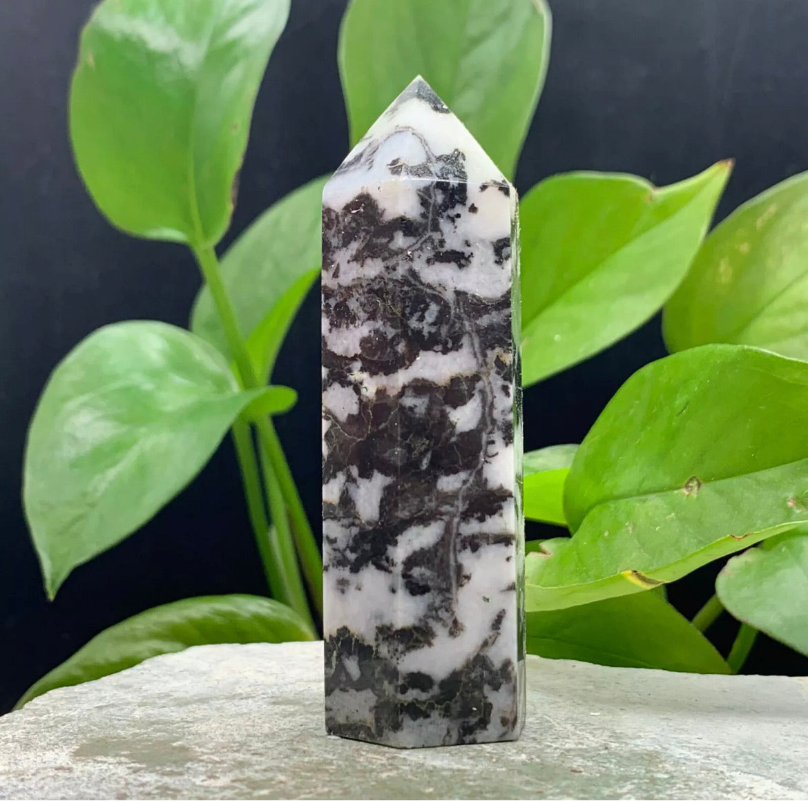 Natural Zebra Gemstone Rough crystal wand point obelisk