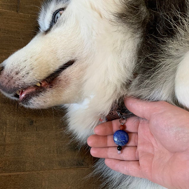 Kelsey's Custom Made Gemstone Dog Charm
