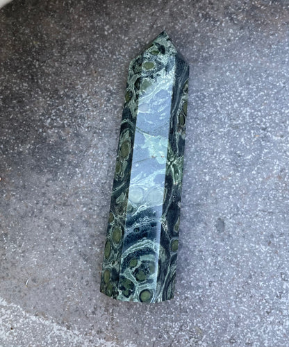 Kambaba Jasper Wand