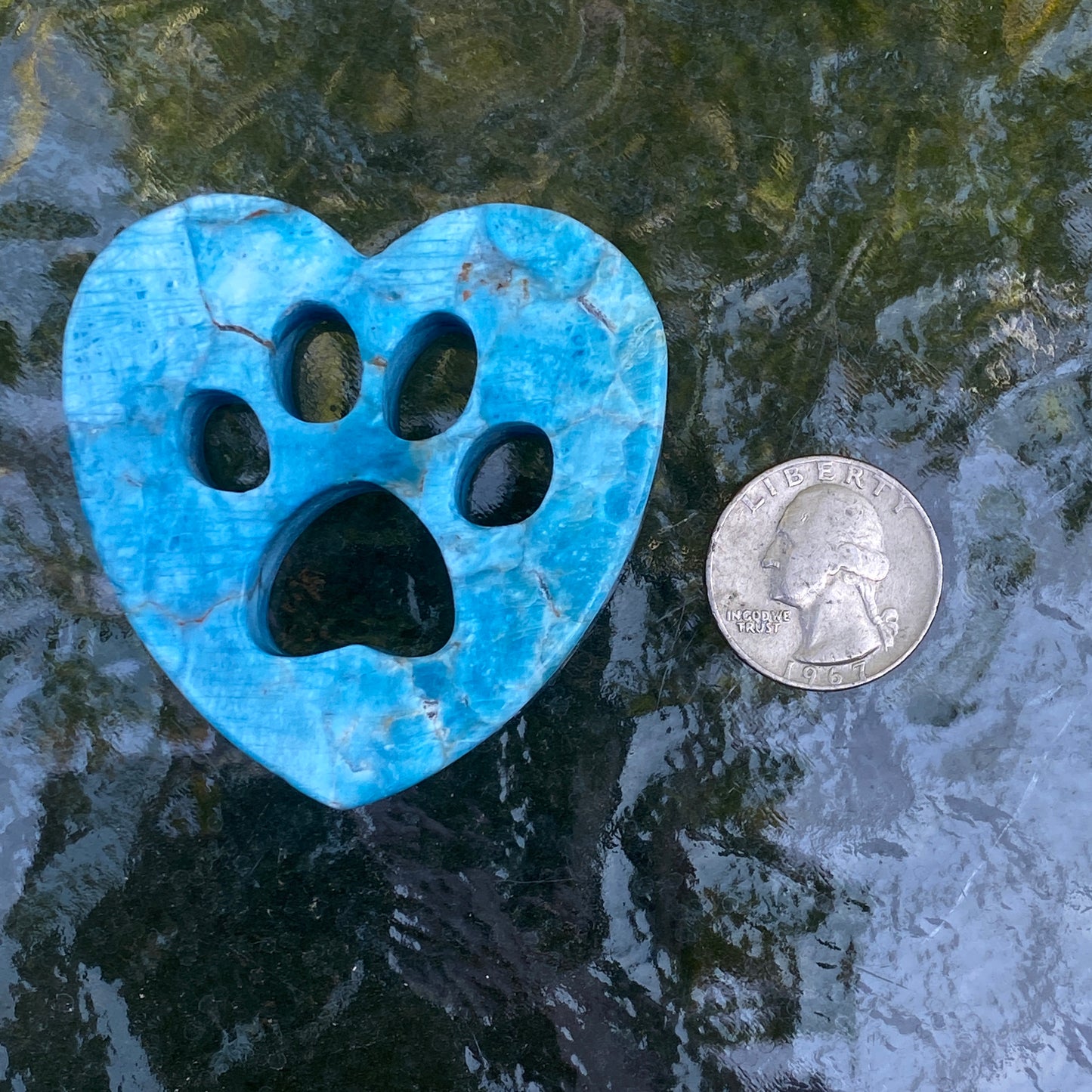Natural Apatite Gemstone Blue Puppy Paw Cut-out