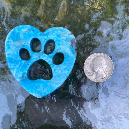Natural Apatite Gemstone Blue Puppy Paw Cut-out