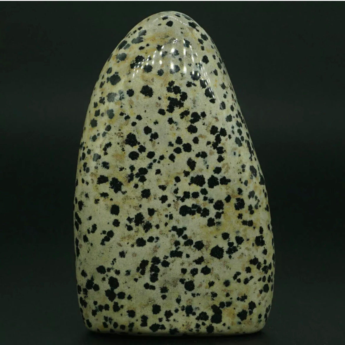 Natural Dalmatian Jasper gemstone