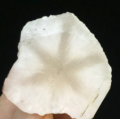 Natural White Quartz Coin Silk Mineral Specimen Hand Cut