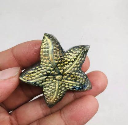 Natural Labradorite Starfish Crystal