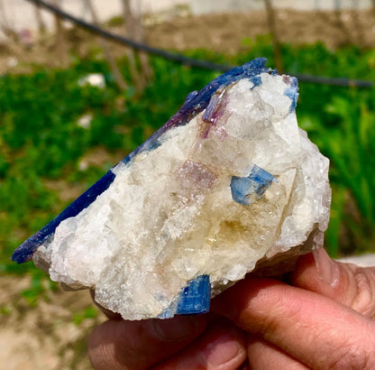 Natural Kyanite in Quartz