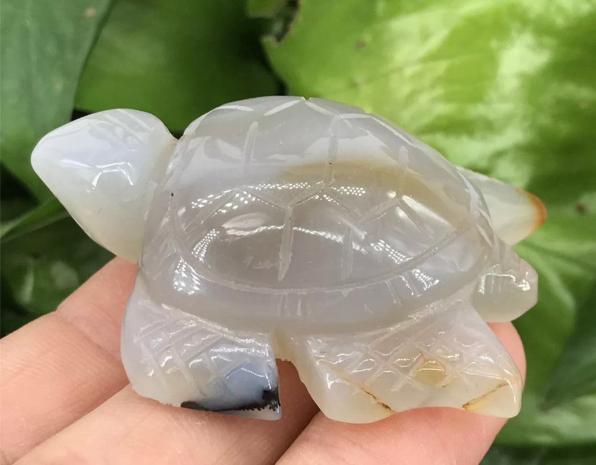 Natural Grey Agate Turtle