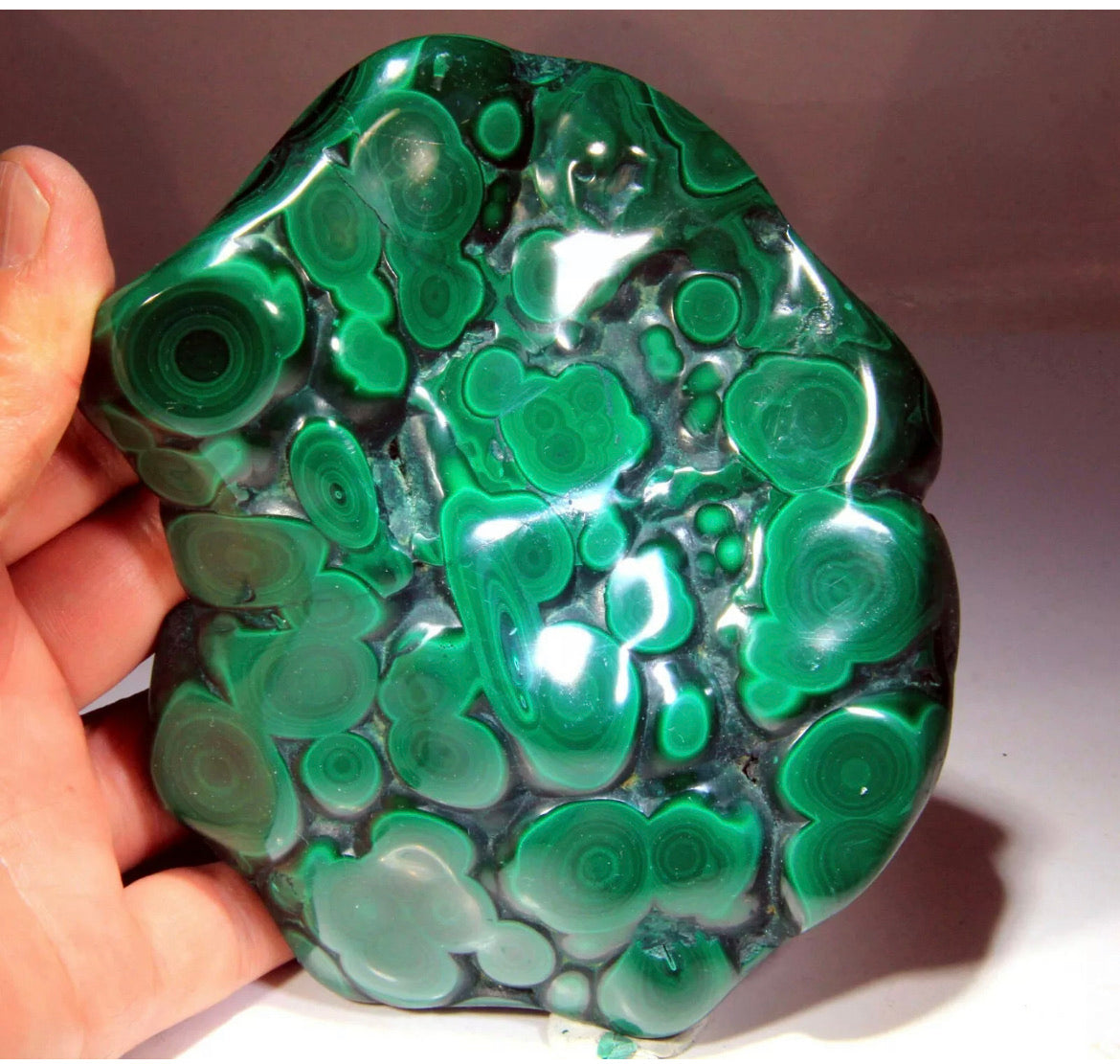 Top Quality Polished natural Bull’s Eye Malachite, from Congo!