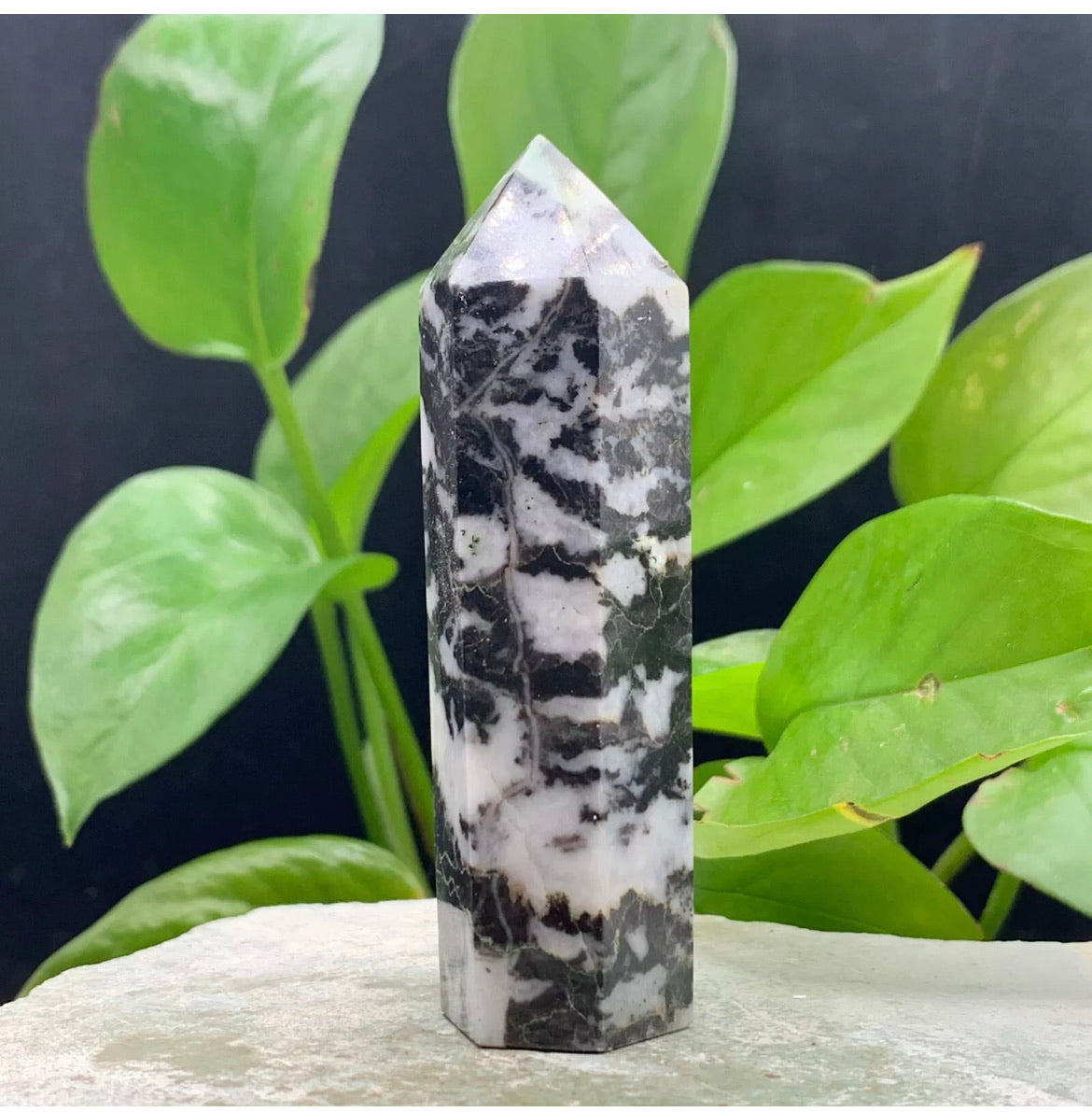 Natural Zebra Gemstone Rough crystal quartz wand point obelisk