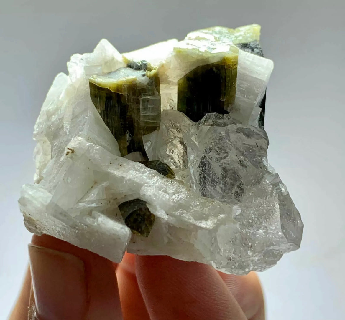 Tourmaline Crystal Specimen With Quartz From staknala