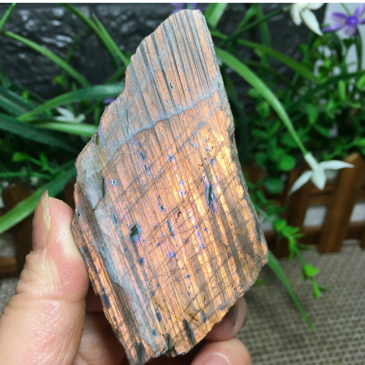 Natural Labradorite gemstone Rock