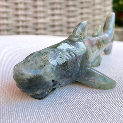 Labradorite gemstone carved Great White Shark Figurine