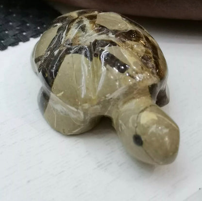 Natural Dragon Serpentine gemstone Turtle