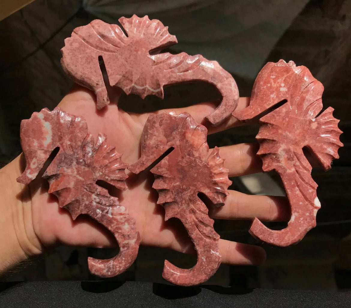 Natural Red Jasper gemstone carved Seahorse