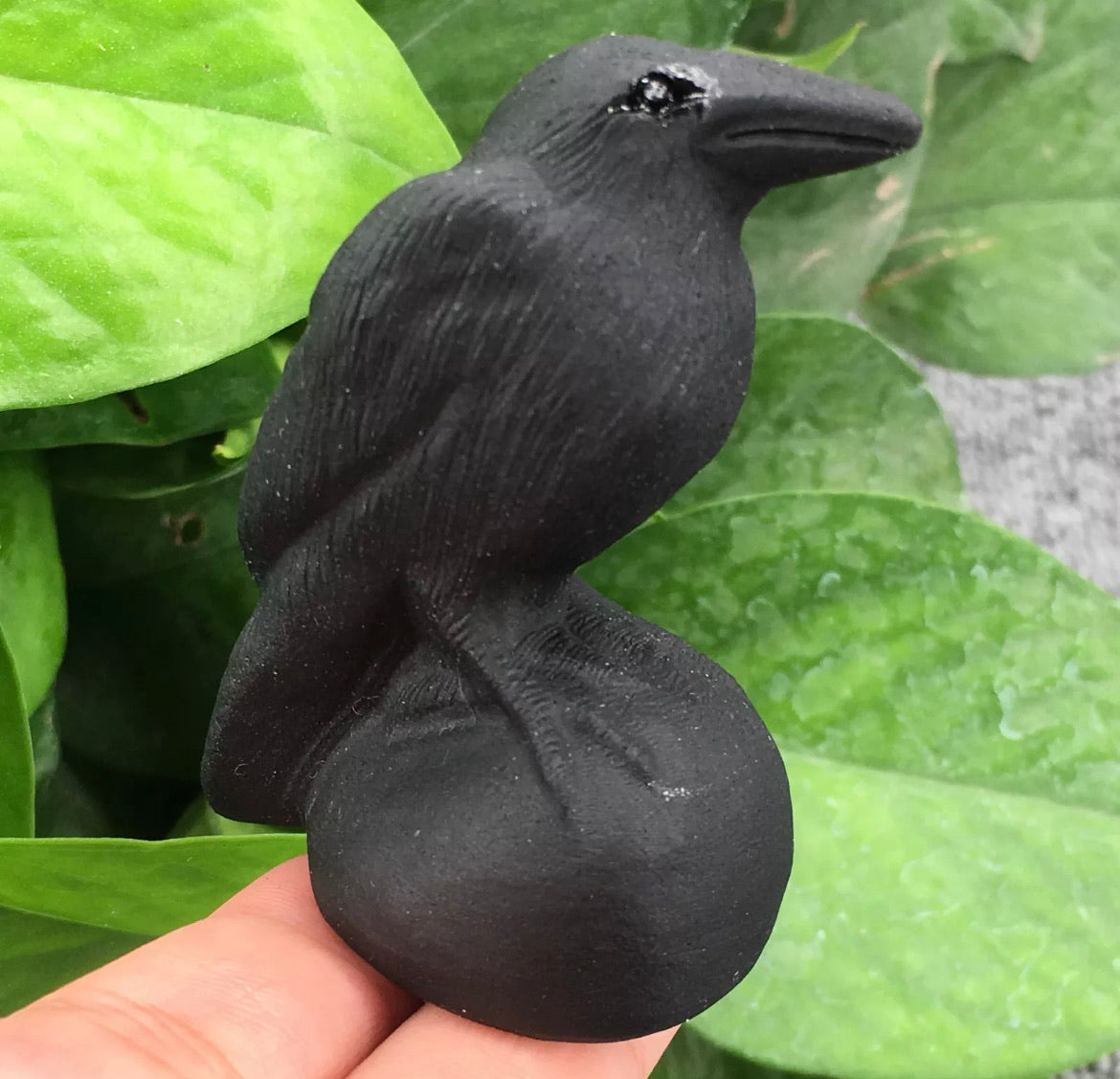 Natural Black Obsidian Raven Crow