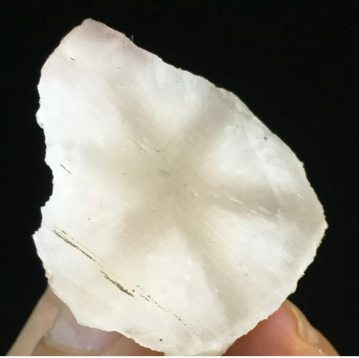 Natural White Quartz Coin Silk Mineral Specimen Hand Cut
