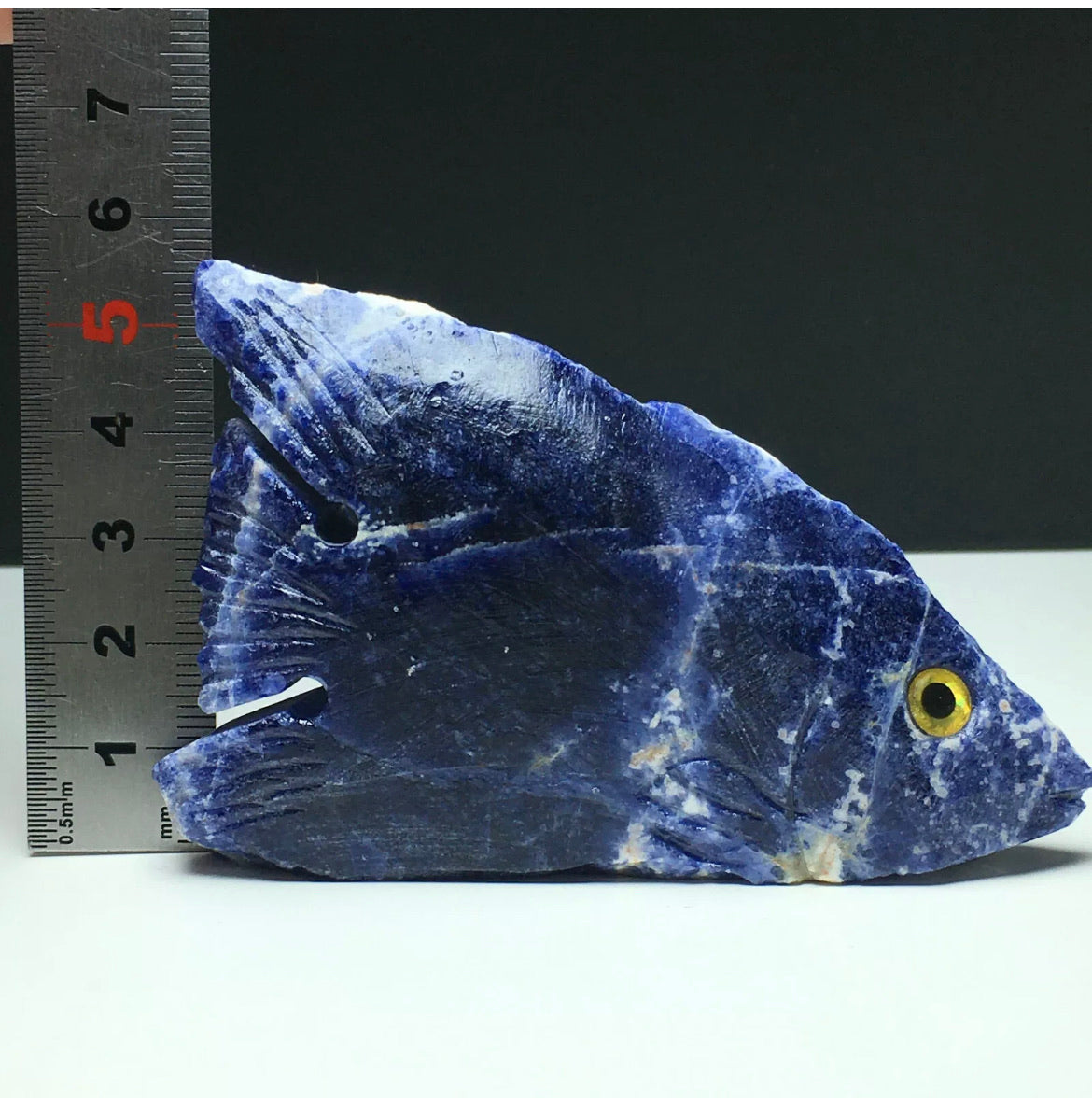 Natural Sodalite gemstone Tropical Fish