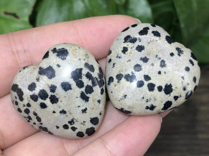 Natural Dalmatian Jasper Hearr