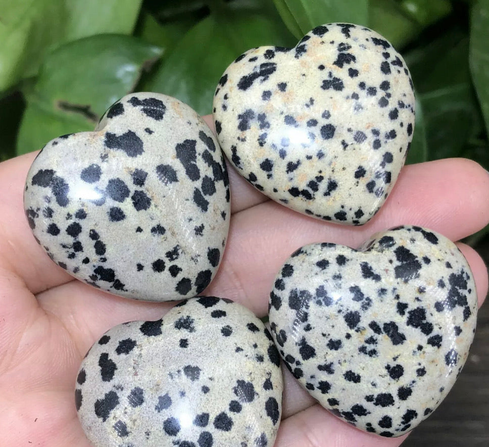 Natural Dalmatian Jasper Hearr