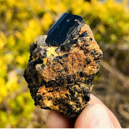 Natural black tourmaline quartz gemstone crystal mineral specimen