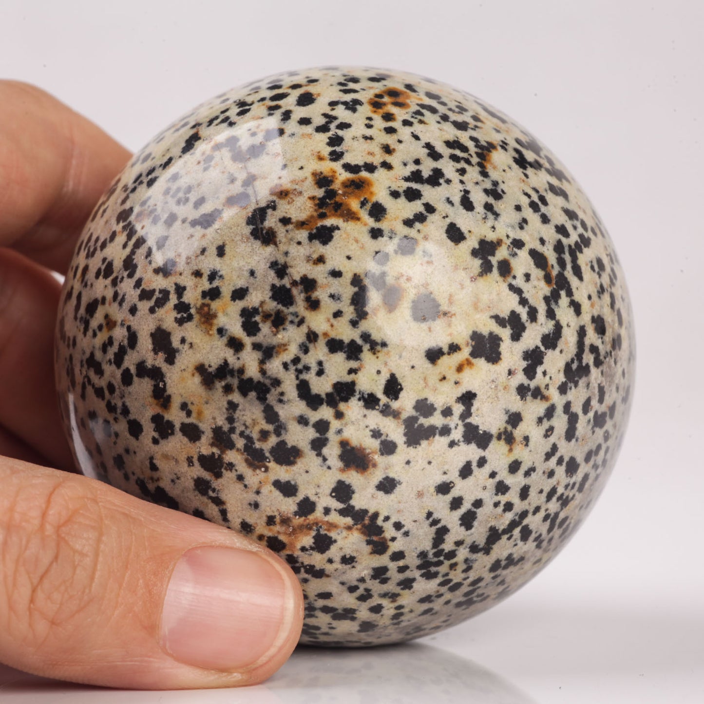 Natural Semiprecious gemstone Dalmatian Jasper crystal Ball sphere reiki healing