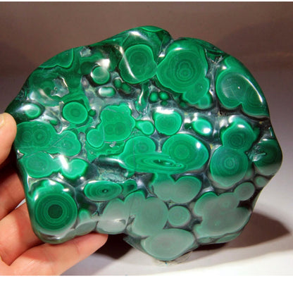 Top Quality Polished natural Bull’s Eye Malachite, from Congo!