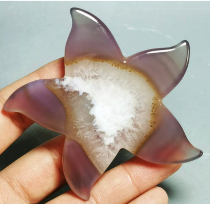 Natural Geode Agate Carved Starfish Crystal