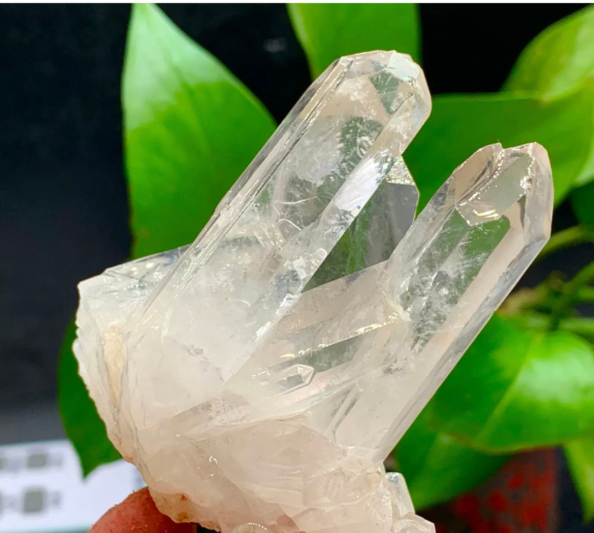 Large Himalayan high-grade quartz clusters / mineralsls healing