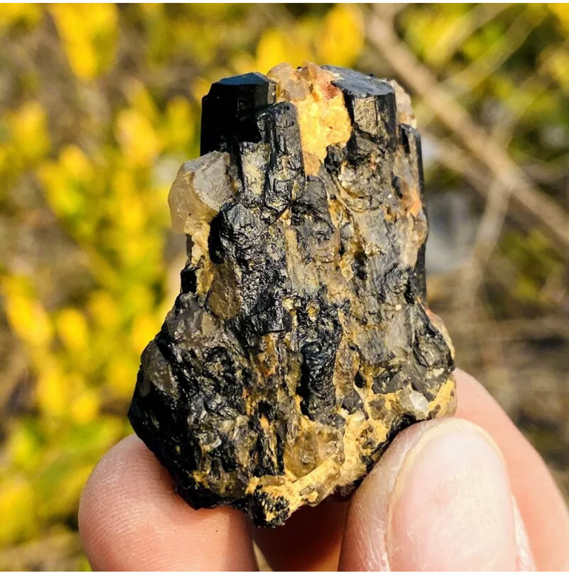 Natural black tourmaline gemstone  quartz crystal mineral specimen
