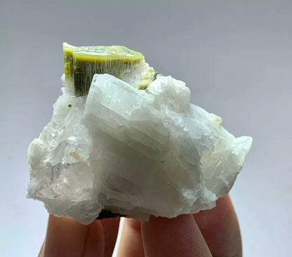 Tourmaline Crystal Specimen With Quartz From staknala