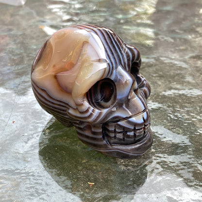 Natural Black Agate Gemstone Skull