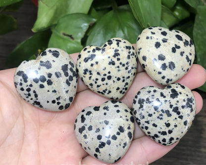 Natural Dalmatian Jasper Hearr