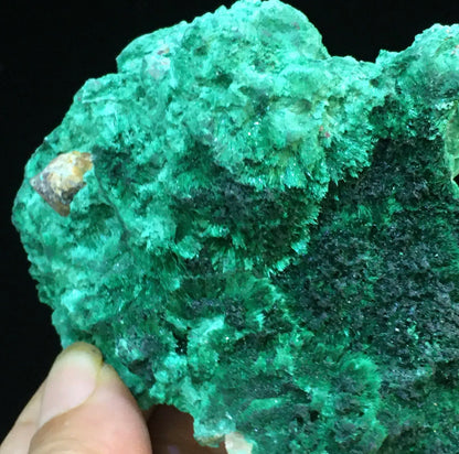 Natural Green Acicular Malachite Crystal Mineral Specimen/ From Congo