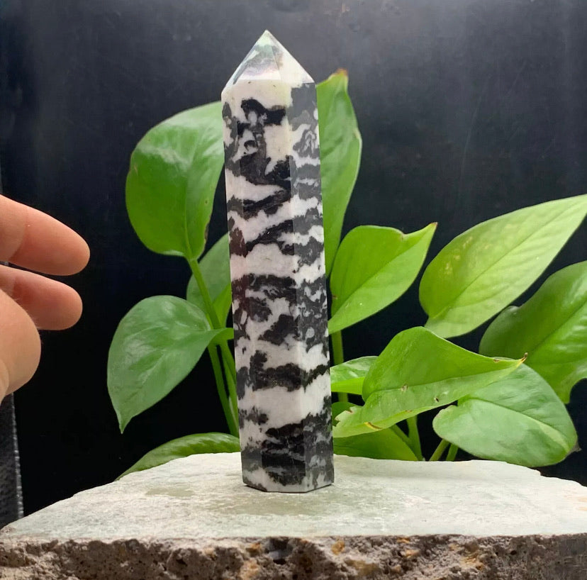 Natural Zebra Stone Rough crystal quartz wand piont obelisk healing