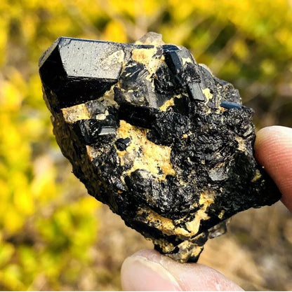 Natural black tourmaline quartz gemstone crystal mineral specimen