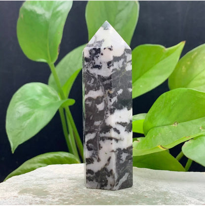 Natural Zebra Gemstone Rough crystal quartz wand point obelisk
