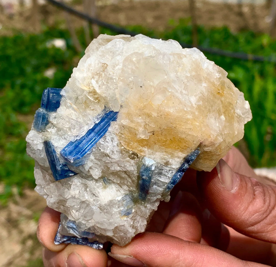 Natural Kyanite in Quartz