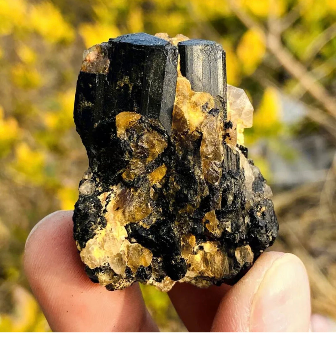 Natural black tourmaline gemstone  quartz crystal mineral specimen