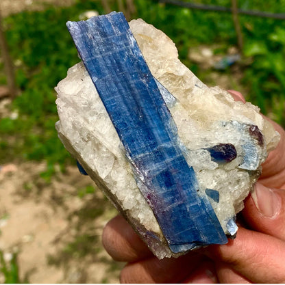 Natural Kyanite in Quartz