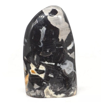 Natural Silver Leaf Jasper gemstone