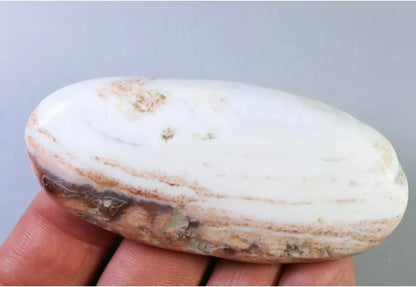 Natural Ocean Jasper Gemstone Palm Stone