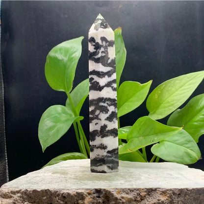 Natural Zebra Stone Rough crystal quartz wand piont obelisk healing