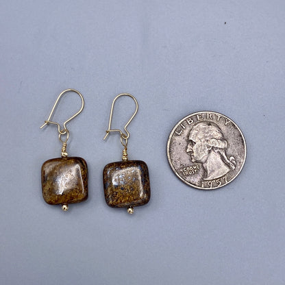 Bronzite Gemstone and 14 kt gf Drop Earrings